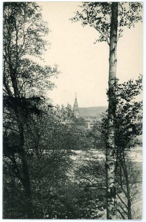 Rochlitz. Blick von den Junkerberg-Promenaden auf die Kunigundenkirche