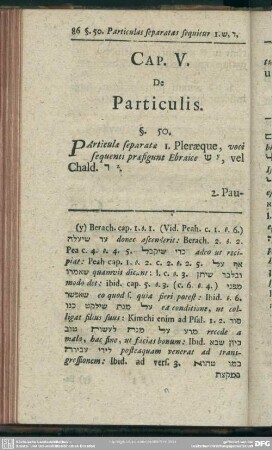 Cap. V. De Particulis