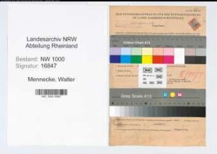 Entnazifizierung Walter Mennecke, geb. 30.12.1901 (Fabrikant)