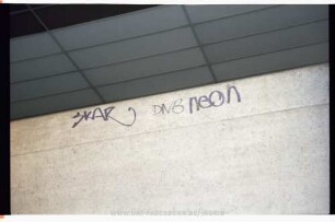 SKAR DNB NEON