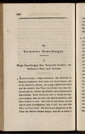 VI. Vermischte Bemerkungen.