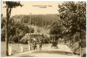 Bärenfels. Erholungsheim Waldwiese, Tal-Bärenfels