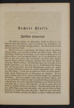 Sechste Klasse. Insekten (Insecta).