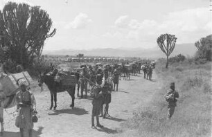 Italienische Kolonialsoldaten : Italienische Kolonialsoldaten auf einer Landstraße