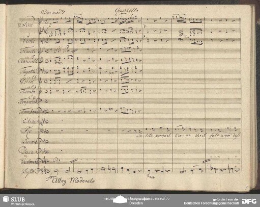 Quartetto: "Salite pur quel trono"