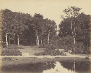 Nettelbeck - Partie im Park