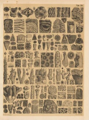 Tab. 184