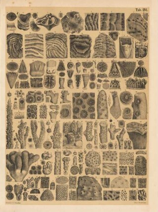 Tab. 184
