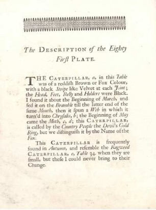 The Description of the Eighty First Plate