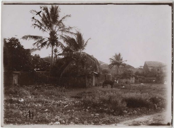 São Luiz do Maranhão, "Partie sur le quai