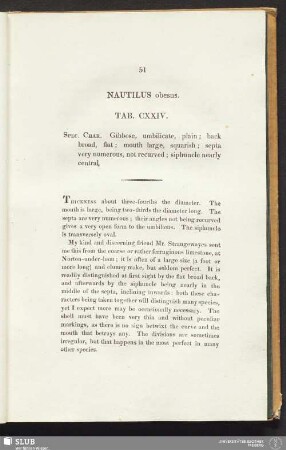 Nautilus obesus. Tab. CXXIV