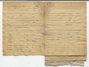 Entnazifizierung Bernhard Nolte , geb. 16.06.1910 ()