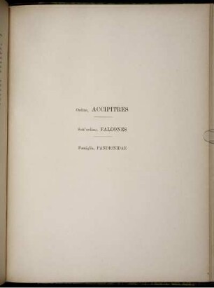 Ordine Accipitte. Sott' ordine Falcones. Famiglia Pandionidae.