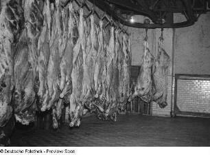 Schweinehälften am Haken in einem Schlachthof