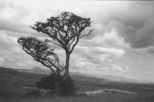 Gebirge von Mbeya : Gebirge von Mbeya mit einer Straße nach Lupa