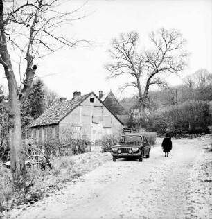 Weg am Mühlenteich: in der Mitte parkender Pkw: daneben Frau: hinten links Kate: vorn links und hinten Bäume: Winter