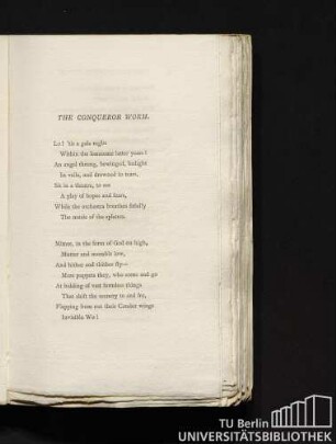 The Conqueror Worm