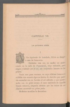Capítulo VII - La primera visita