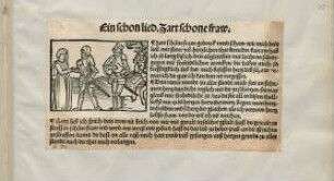 Ein schon lied. Zart schone fraw.|| : Zart schöne fraw/ gedenck vnnd schaw/ wie mich dein|| lieb/ ...