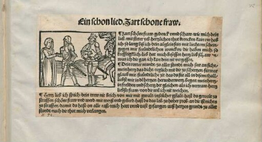 Ein schon lied. Zart schone fraw.|| : Zart schöne fraw/ gedenck vnnd schaw/ wie mich dein|| lieb/ ...