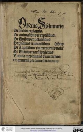 De herbis et plantis. De animalibus et reptilibus. De avibus et volatilibus. De piscibus et natalitibus. De lapidibus et in terre venis nascentibus. De urinis et earum speciebus. Tabula medicinalis cum directorio generali per omnes tractatus.