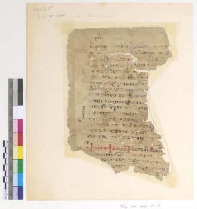 Easter Sunday. Liturgy. Jh. XX, 16 - 18; Psali