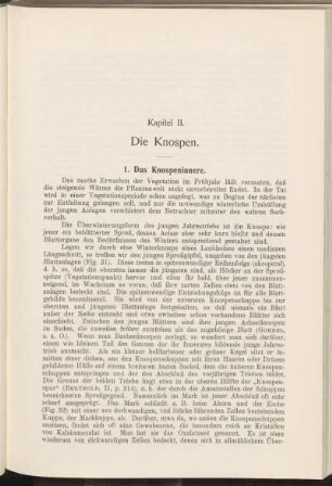 Kapitel II. Die Knospen.