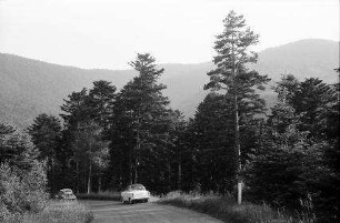 Nideck: Vogesenlandschaft, Straße mit Kurve und Pinguin [Auto]