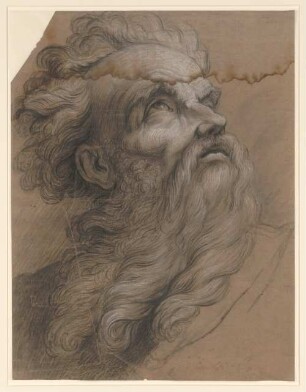 Vouet, Simon: Zeichnungen I, Blatt 56: Nach rechts oben aufschauender bärtiger Kopf, groß - BSB Cod.icon. 397 a(56