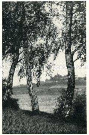 Blick auf den St. Annaberg