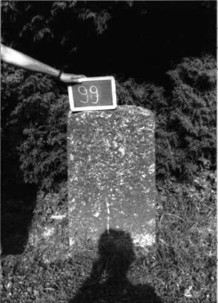 Grabstein 99 Texttafel fehlt: Grabstein 99