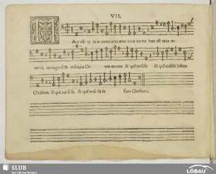 VII. Haec est vita aeterna