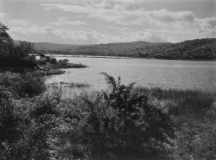 See bei Dodoma : Bewaldete Hügel am Ufer eines Sees nahe Dodoma