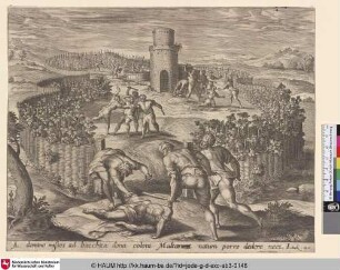 [Das Gleichnis von den bösen Weingärtnern; The Parable of the Vineyard]