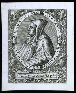 Albertus 