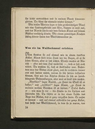 Was sie im Walfischmaul erlebten