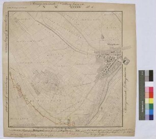 [Dominikal- und Zehntrenten der Standesherrschaft Löwenstein-Wertheim-Rosenberg in der Steuergemeinde Billingshausen (Topograph. Karte 1:2500)