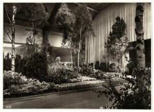 Ausstellungsgarten Deutsche Gartenbau-Ausstellung 1933, Berlin: Innenansicht Ausstellungshalle, Birken