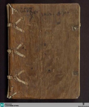 Quattuor Euangelia ussui lectionum missae adcommadata - Cod. Aug. perg. 207