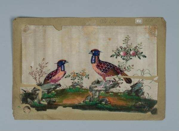 Painting on rice paper (marbled paper): two birds