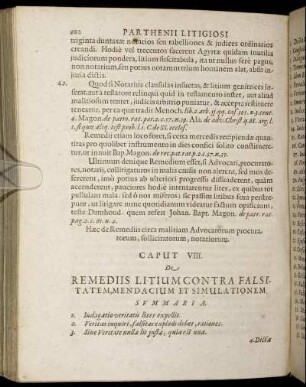 Caput VIII. De Remediis Litium Contra Falsitatem, Mendacium Et Simulationem.