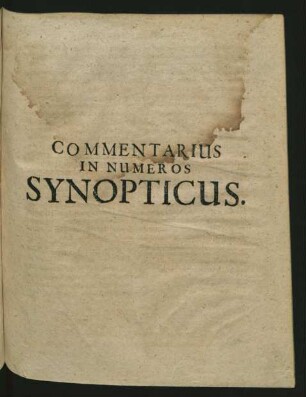 Commentarius In Numeros Synopticus.