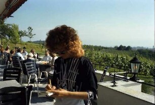 Kressbronn: Weingut Torggel , Terrasse und Bogen zum Parkplatz