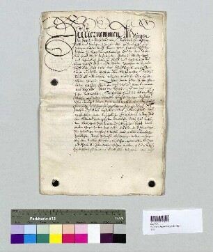 Vergleich zwischen der Geistlichkeit in der Stadt Regensburg und dem Rat und Kämmerer der Stadt Regensburg in Fragen der Bau-, Feuer- und Polizei- und Infektionsordnung. S1: Bischof Franz Wilhelm, S2: Stadt Regensburg