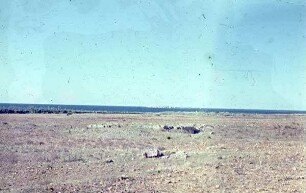 Amrith Blick auf Insel Ruad (Kreuz)