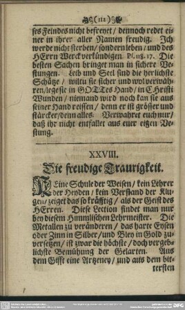 XXVIII. Die freudige Traurigkeit