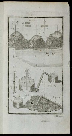 Tab. III. fig. 14 - fig. 20
