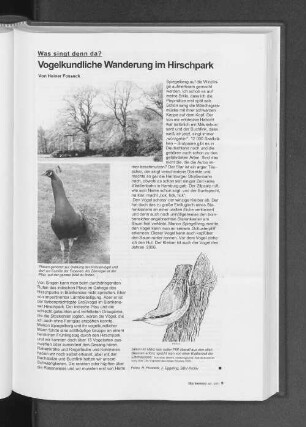 Was singt denn da? Vogelkundliche Wanderung im Hirschpark