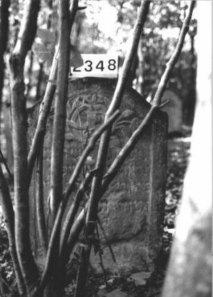 Grabstein 2348