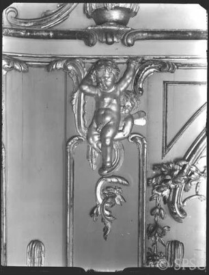 Potsdam, Neues Palais, Oberes Fürstenquartier, Oberes Konzertzimmer, R.: 260, Wanddetail: rechter Putto der Südwestecke.